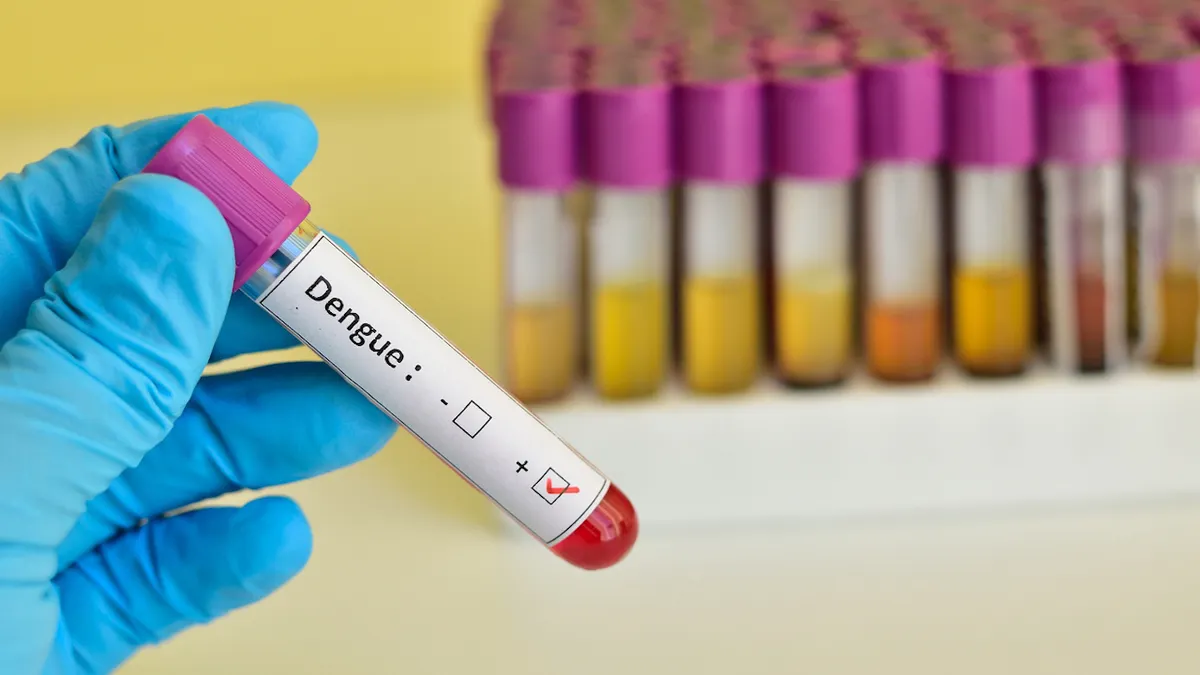 dengue-blood-test.jpg