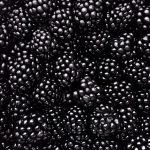 full-frame-shot-of-blackberries-at-market-royalty-free-image-688932841-1564091872.jpg