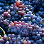 full-frame-shot-of-grapes-royalty-free-image-683832755-1564091979.jpg