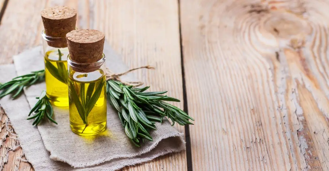 rosemary-sprig-and-rosemary-oil-in-clear-bottles-on-wooden-table.jpg