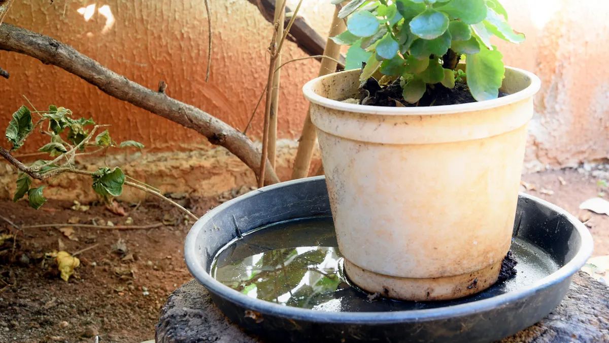 standing-water-flower-pot.jpg
