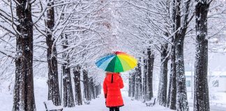 Psihologia culorilor in alegerea tinutelor: ce culori te avantajeaza?